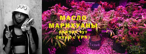 молекула духа Богородицк