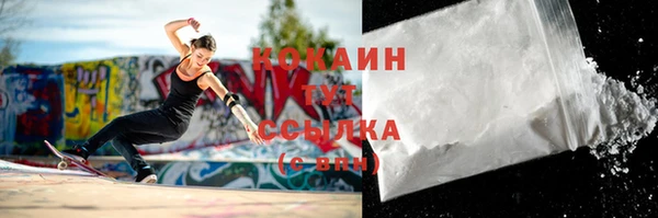 молекула духа Богородицк