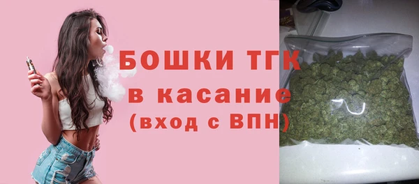 молекула духа Богородицк