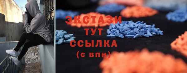 молекула духа Богородицк