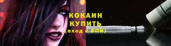 молекула духа Богородицк