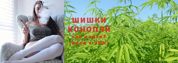 молекула духа Богородицк