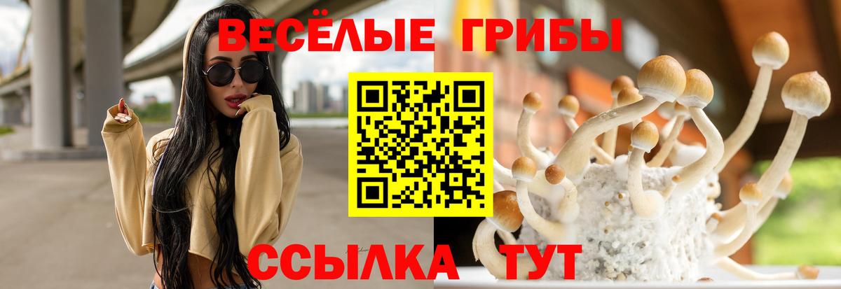 Галлюциногенные грибы Psilocybine cubensis Минеральные Воды